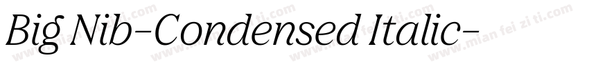 Big Nib-Condensed Italic字体转换